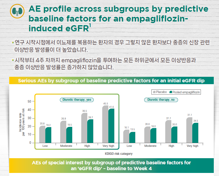 AE Profile by Predictive Factors for eGFR Change